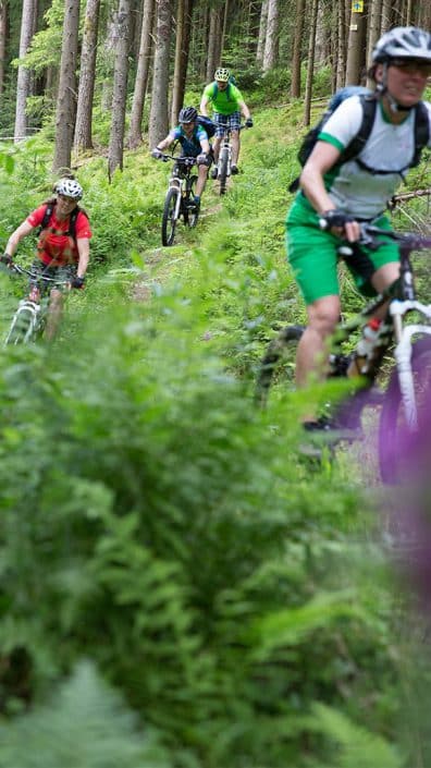 Mountainbike singletrails stuttgart