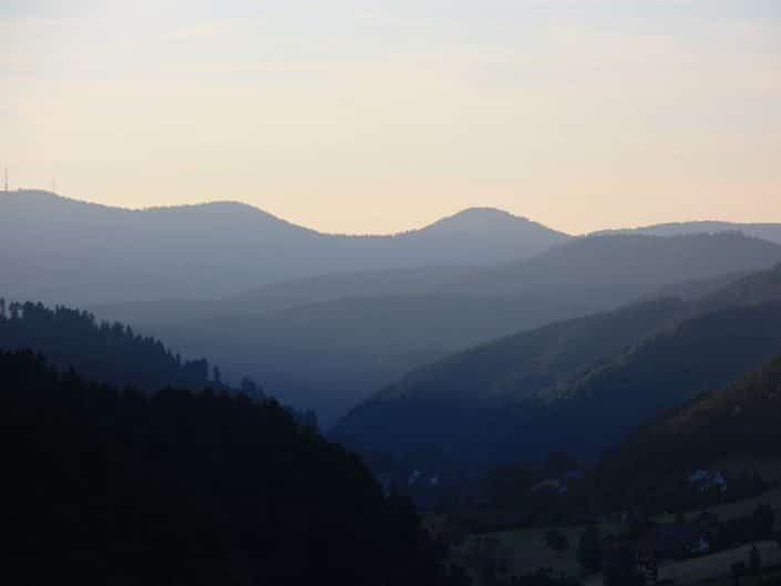 Singletrail hornberg