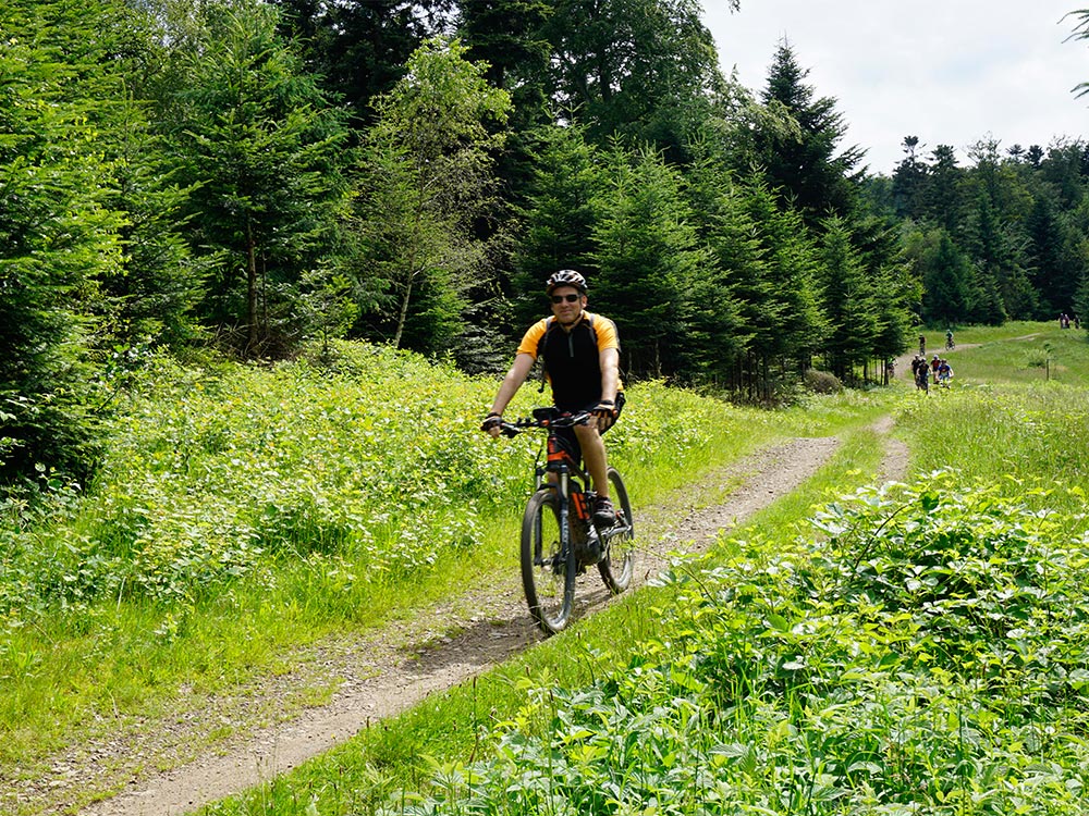 Die Teilnehmer des MTB Fahrtechnik Trainings werden zu Beginn des Kurses gebrieft.