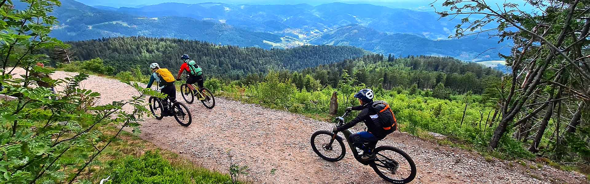 Mtb singletrail schwarzwald
